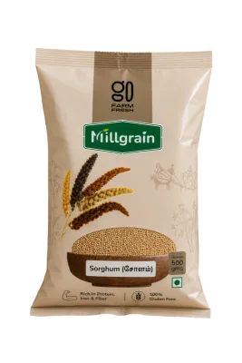 Sorghum Millet (Cholam), Gluten-Free Whole Grain